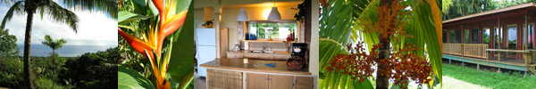 Entabeni Cottage Vacation Rental of Maui Hawaii