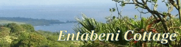 Entabeni Cottage Vacation Rental of Maui Hawaii